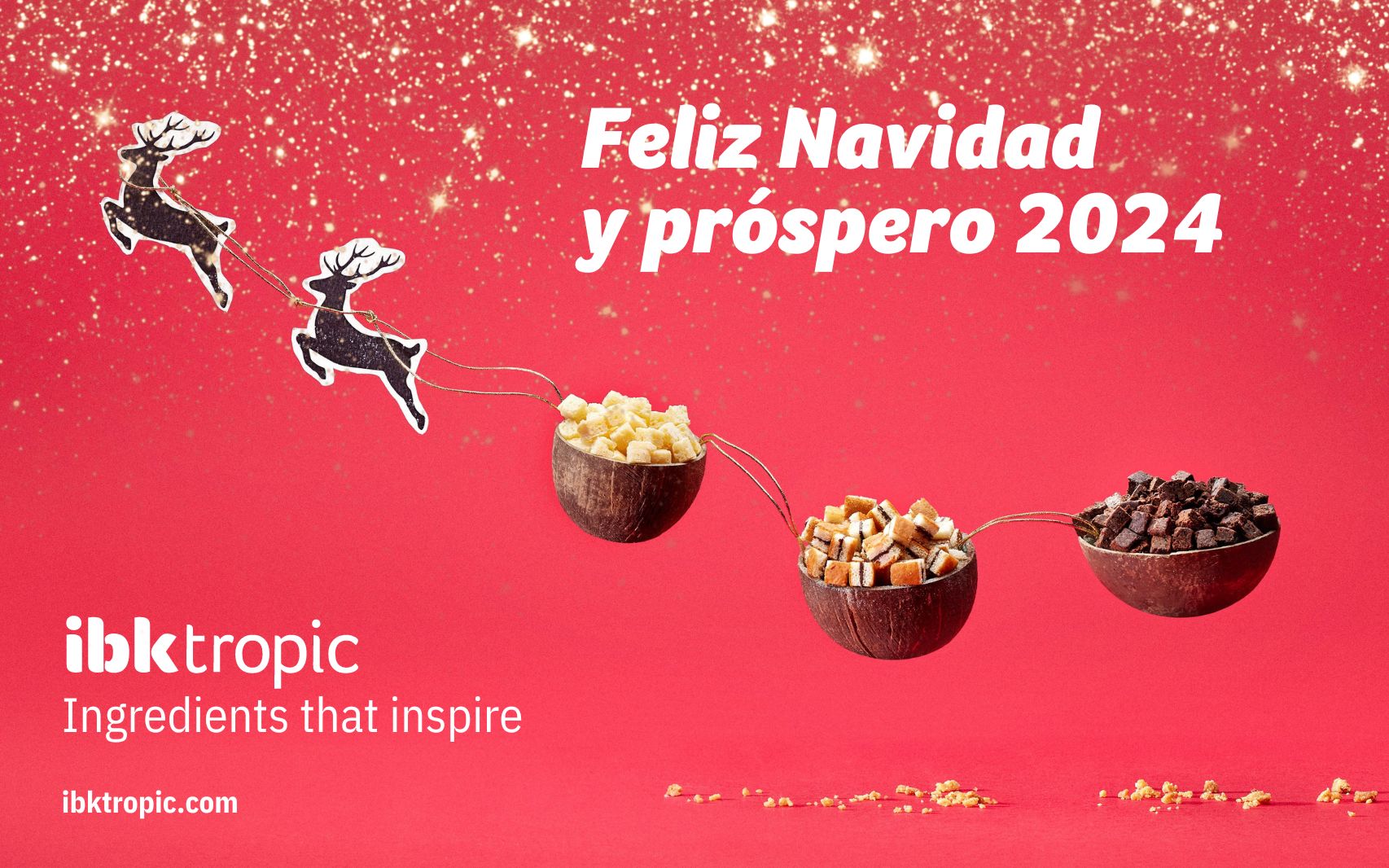 ¡Feliz Navidad Y Próspero 2024! - IBKTropic